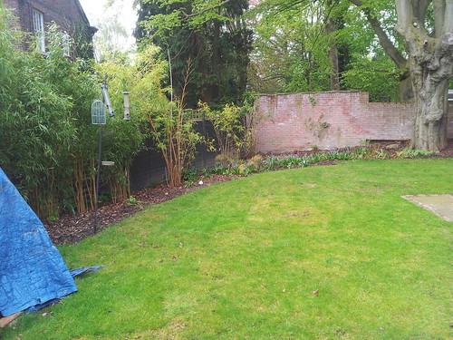 Landscape Gardening  Alderley Edge Image 8