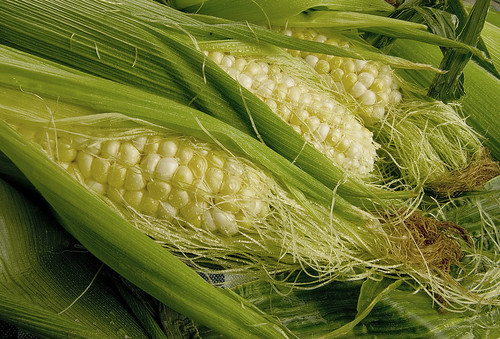 Corn on the Cob by arbyreed, on Flickr