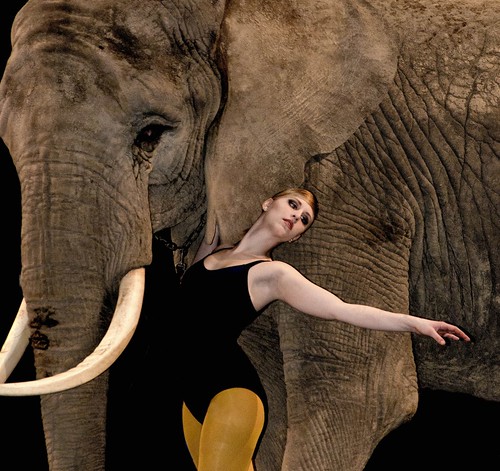 Ballerina with Elephant