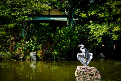 Kyoto, south Higashiyama ©  specchio.nero
