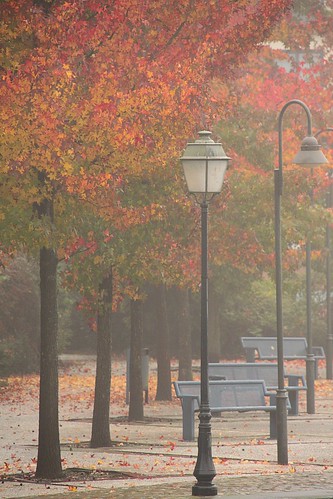 Brume automnale / Autumn mist ©  OliBac