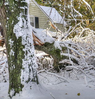 Hurricane Sandy Damage Covered By Snow