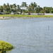 Boca de la Barra, dove si uniscono il mar caraibico e la ciénaga grande di Santa Marta