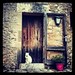 The Cat and The Door