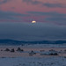 Sunset Moon Rise at Mono Lake Last Night