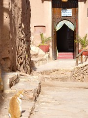 Ait Benadu, Marruecos • <a style="font-size:0.8em;" href="http://www.flickr.com/photos/92957341@N07/8458809546/" target="_blank">View on Flickr</a>