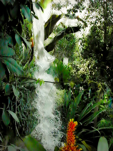 Waterfall in the Glass house! - a photo on Flickriver