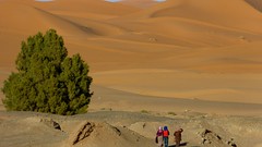Dunas de Erg Chebbi, Marruecos • <a style="font-size:0.8em;" href="http://www.flickr.com/photos/92957341@N07/8458793240/" target="_blank">View on Flickr</a>
