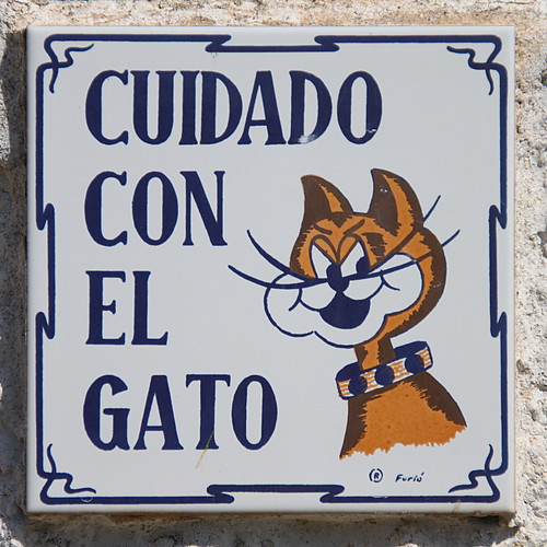 Cuidado con el gato / Beware the cat ©  OliBac