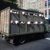 So During My Lunch Hour We Managed To Catch The Other #Banksy Mobile Passing By On Madison Ave "Sirens Of The Lambs"
