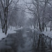 Snow on the Canal