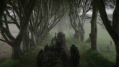 Dark hedges of Armoy - Game of Thrones Series ...