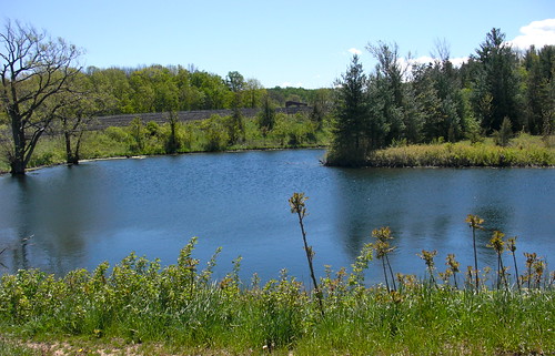 heron pond