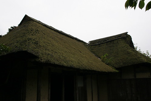 Traditional thatched roofs