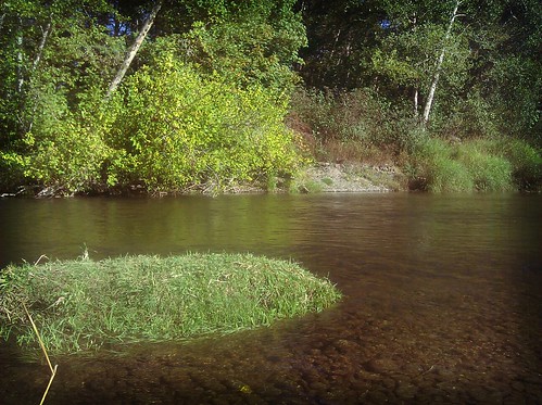 meditation spot in the river
