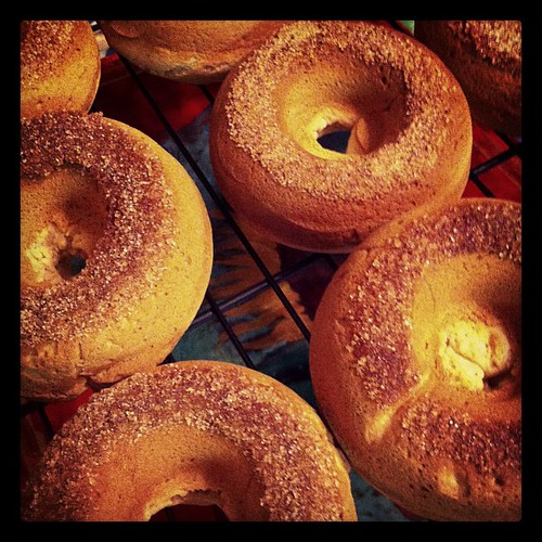 Love in the morning. GF apple cider donuts.