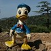 Homenagem atrasada aos 75 anos do Pato Donald