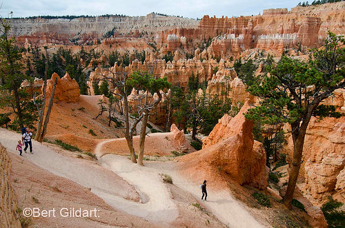 Bryce (12 of 22)