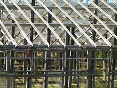 greenhouses 2/2