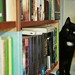 Sossi loves books by bibliothekarin, on Flickr