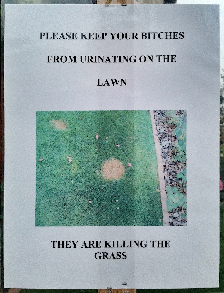 Keep your bitches from urinating on the lawn. They are killing the grass.