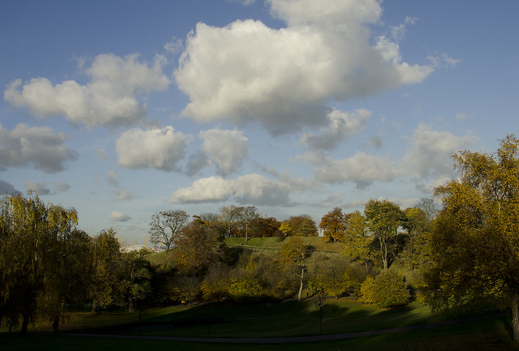 : Autumn in Greenwich park