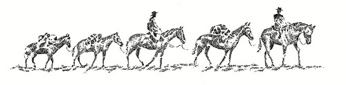 packhorses