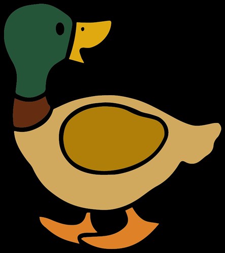 mallard duck