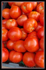 Wednesday Markets fresh tomatoes for sale-1=