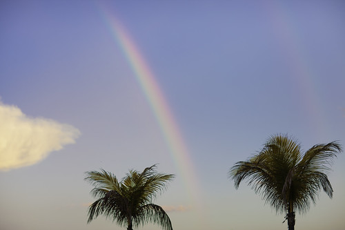 Bal Harbour Nature | Double Rainbow | Double Palm Tree | 130512-9736-jikatu