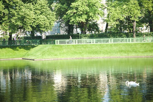 Swans in the Summer Garden ©  vitaly.repin
