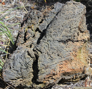Lava rock pattern study