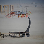 Burning Man 20120369 Saake