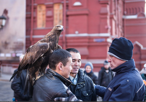     (Golden eagle on Red Square) ©  Nickolas Titkov