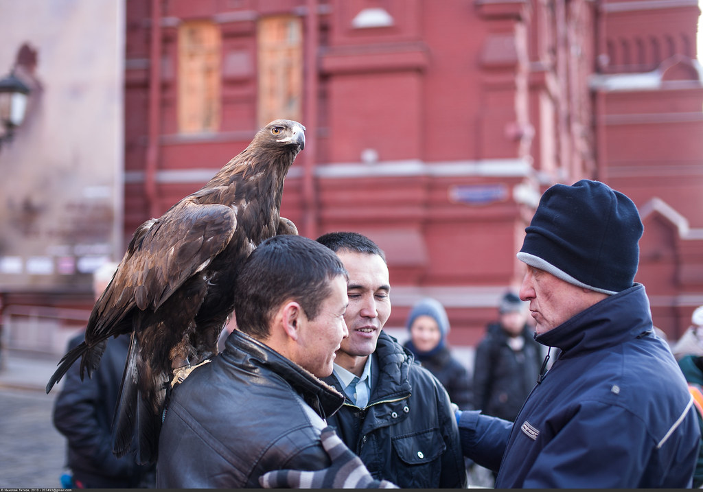 :     (Golden eagle on Red Square)