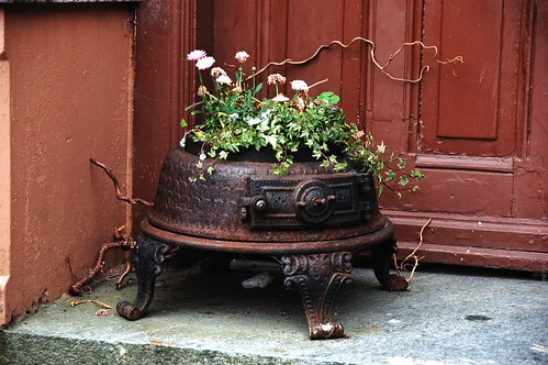 Flowerpot in Bergen ©  Konstantin Malanchev