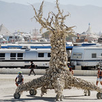 Burning Man 20120463 Saake
