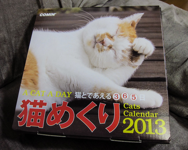 Cats Calendar 2013
