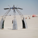 Burning Man 20120359 Saake