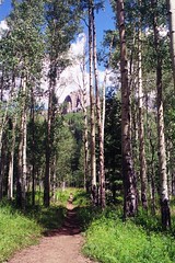 Pope's Nose and Aspen grove along the Los Pino...