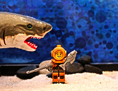 Shark Week by Evil Cheese Scientist, on Flickr