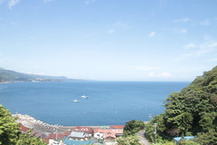 Izu View from tokyu train