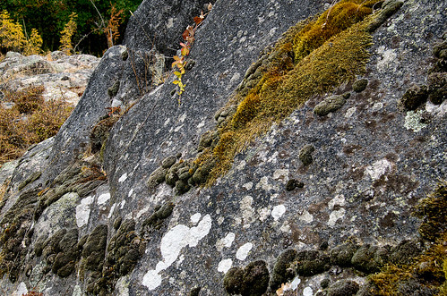 Ropotamo reserve stones /  ©  Katya