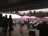 In Springfield cheering on the volunteers & survivors at the Rays of Hope walk to find a cure for breast cancer