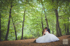 Intimate wedding in the woods