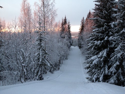 Finland skiing ©  dmitryku