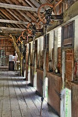  shed east dilapidated shearing hawkesbay woolshed oldandbeautiful