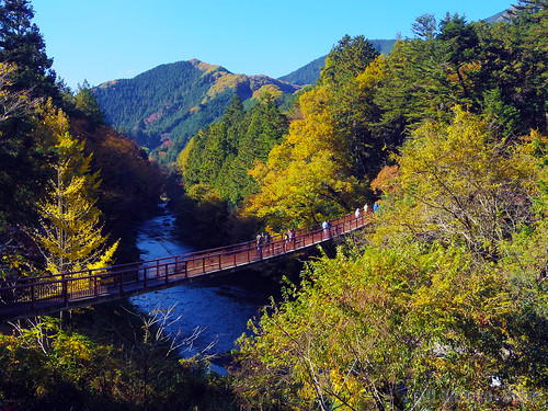 秋色の秋川渓谷 (Autumn Colored Akigawa Gorge)