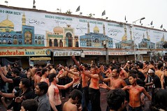 Shiite Muslims flagellate themselves during a ...
