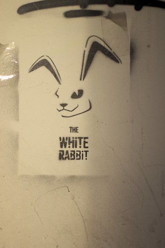 The white rabbit ©  FAndrey